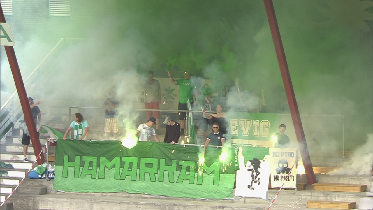 HAM - Viking 2-3